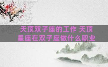 天顶双子座的工作 天顶星座在双子座做什么职业 天顶双子座的工作 天顶星座在双子座做什么职业